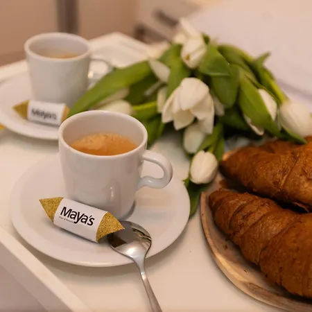 아파트 Maya's Flats & 53 - Walowa 40,