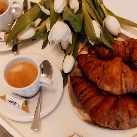 아파트 Maya's Flats & 53 - Walowa 40,